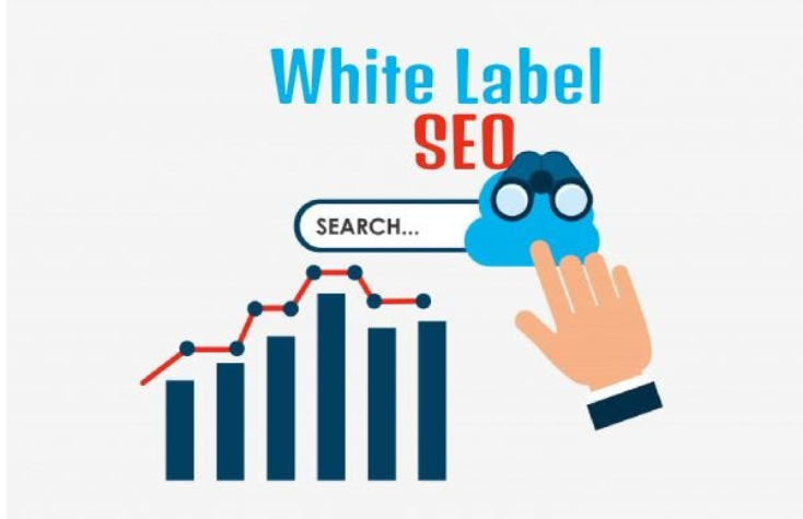 Agency's SEO Capabilities